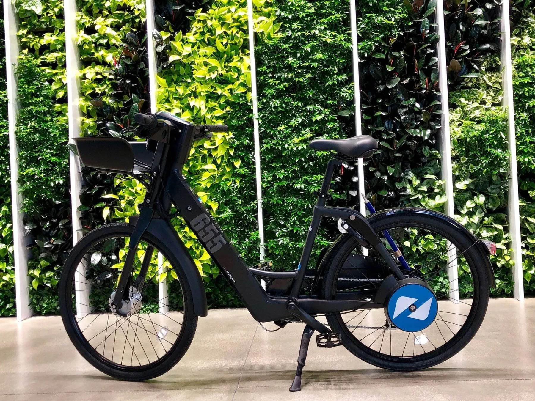 American Electric 36V 350W Raven Step Through Commuter