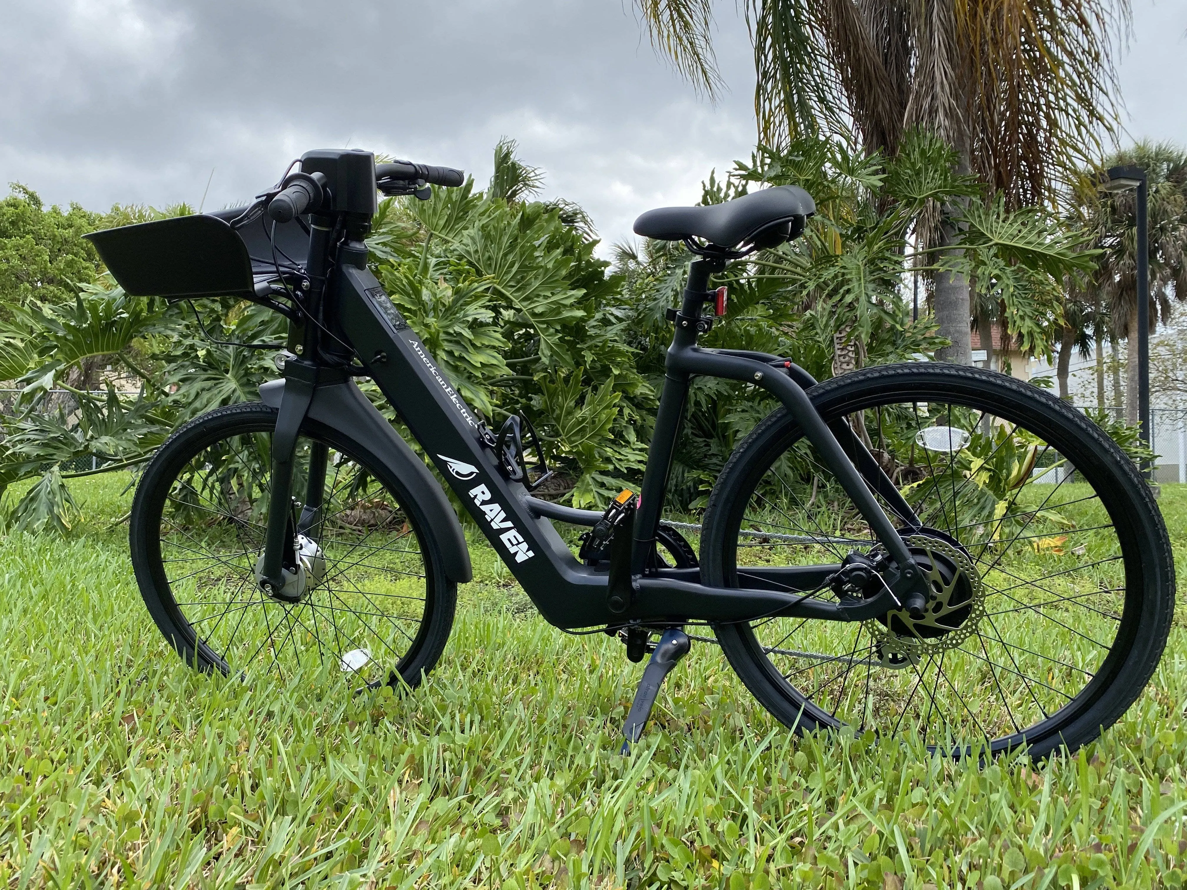 American Electric 36V 350W Raven Step Through Commuter