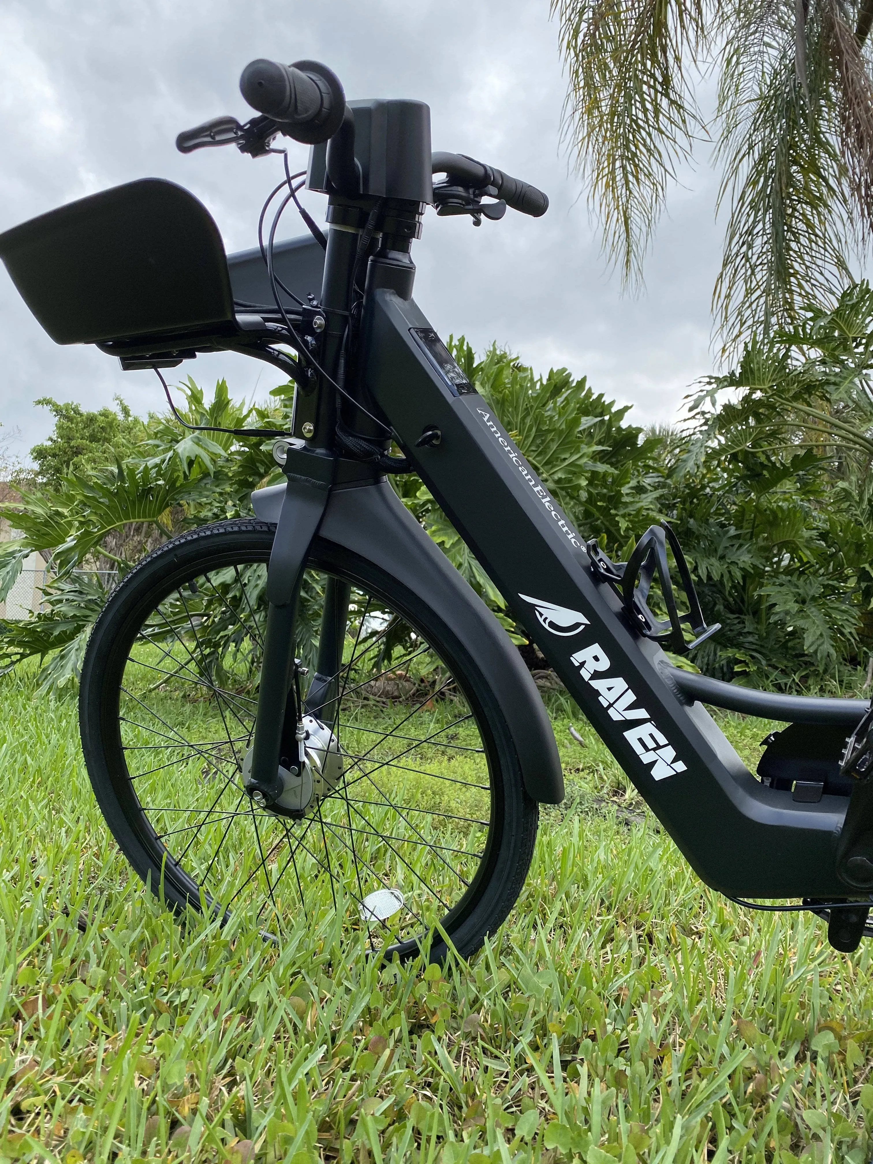 American Electric 36V 350W Raven Step Through Commuter