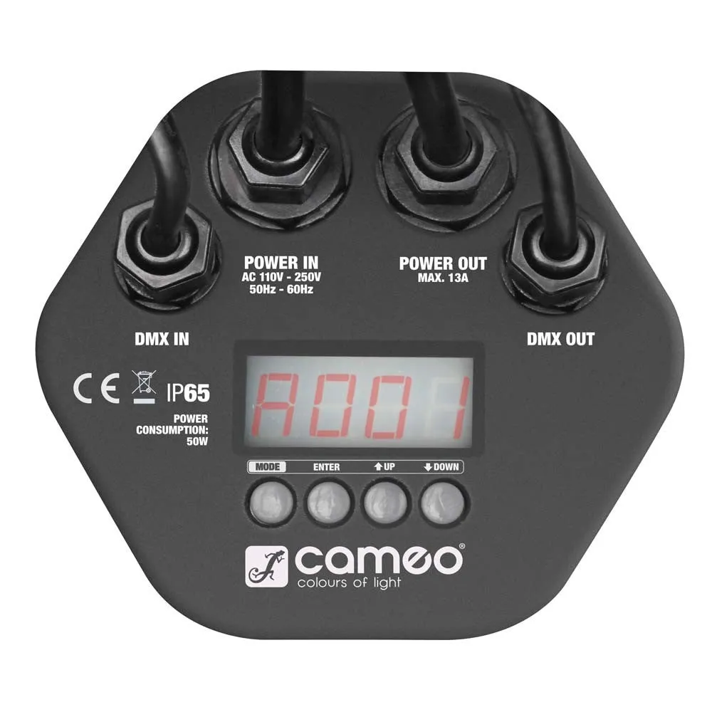 Cameo Lights CLPSTTRI12IP Studio PAR CAN 12 x 3 W RGB LED Outdoor (Black)