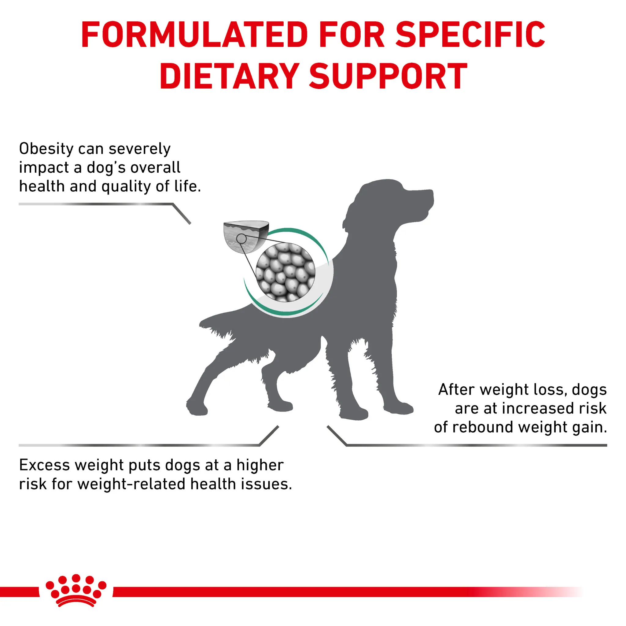 ROYAL CANIN® Satiety Adult Dry Dog Food